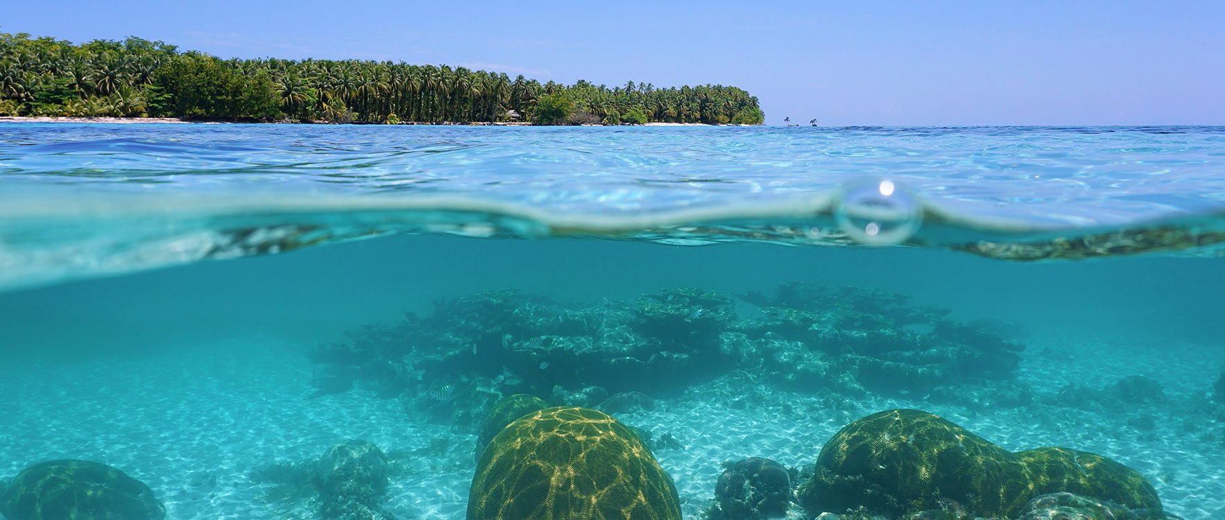 Digital Sea River Floors